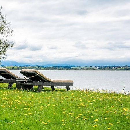 فندق Seebrunn am Wallersee هندورف ام فالرسه المظهر الخارجي الصورة